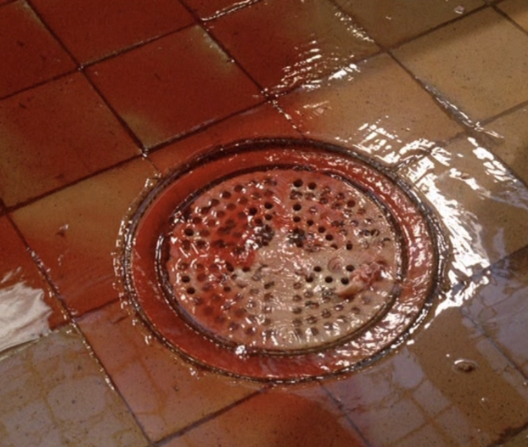 what the drain takes